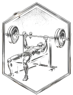 BB Bench Press