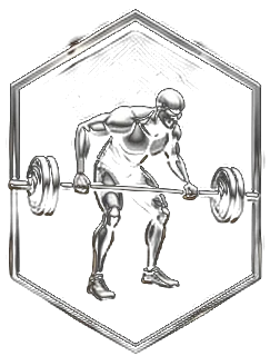 BB Barbell Row