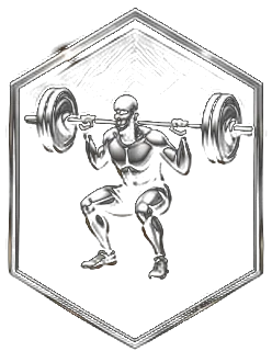 BB Back Squat